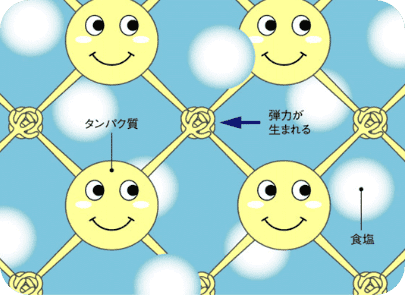 練り製品の品質の決め手